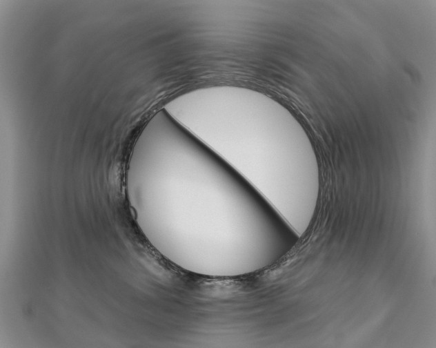 X0000112740428200908201039