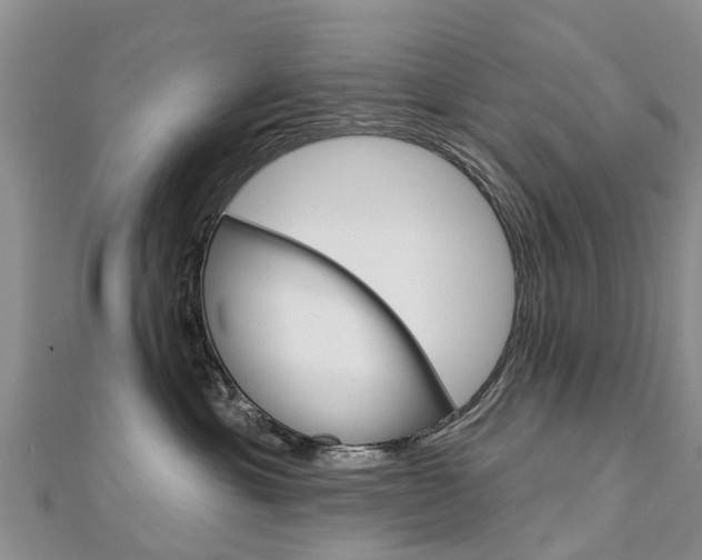 X0000112740429200908201039