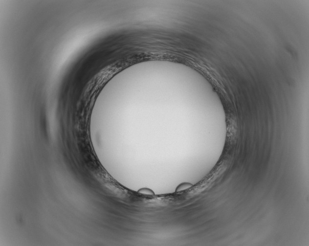 X0000112740430200908201039