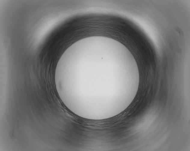 X0000112740431200908201039