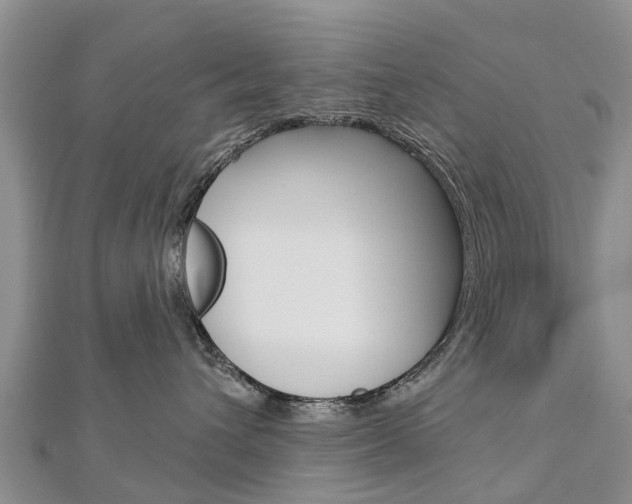 X0000112740432200908201039