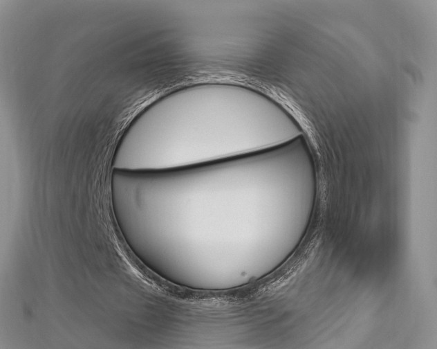 X0000112740433200908201038