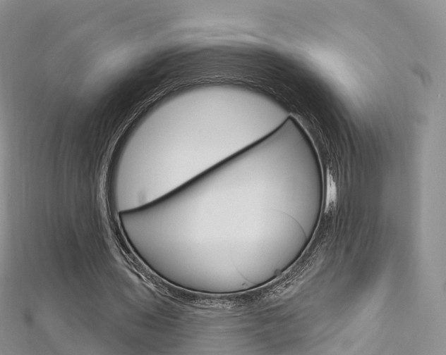 X0000112740435200908201038
