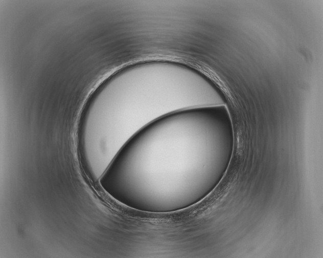 X0000112740436200908201038