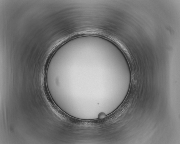 X0000112740437200908201038