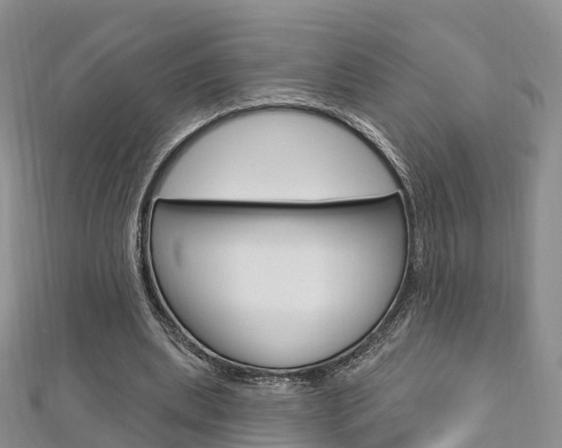 X0000112740439200908201038