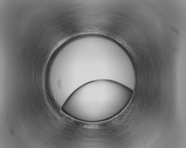 X0000112740440200908201038
