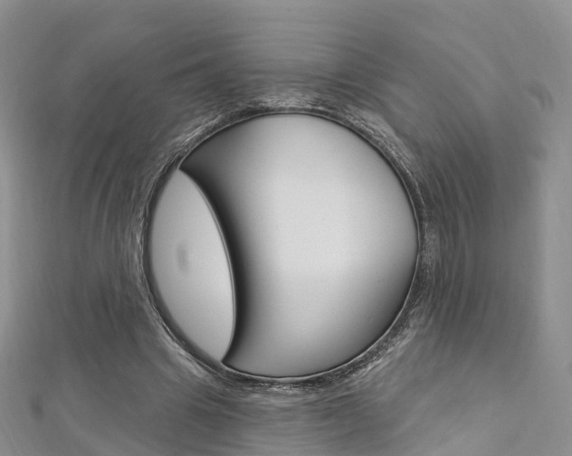 X0000112740441200908201038
