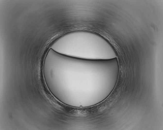 X0000112740442200908201038