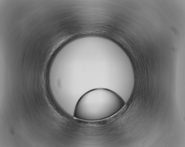 X0000112740444200908201038