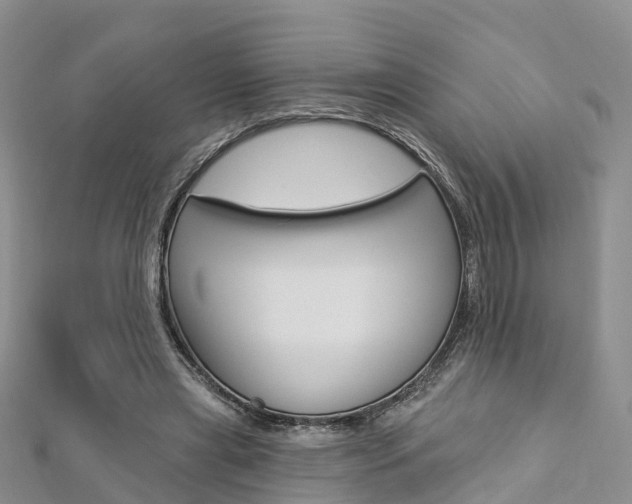 X0000112740445200908201038