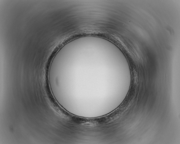 X0000112740447200908201038