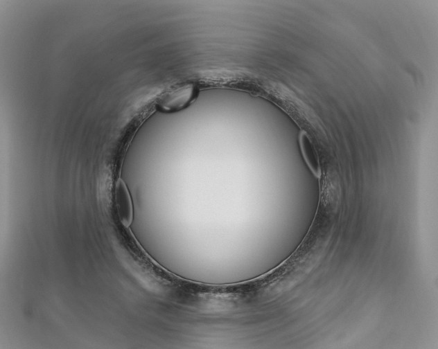 X0000112740448200908201038