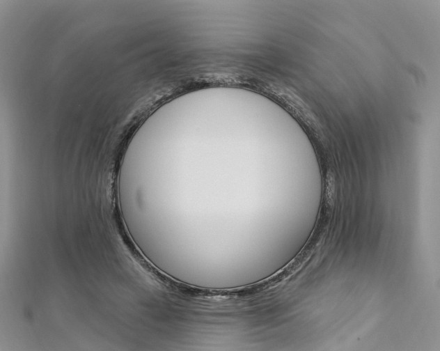 X0000112740449200908201038