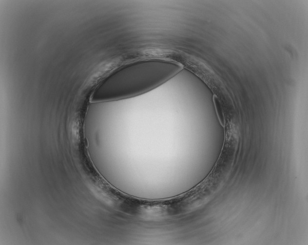 X0000112740452200908201038