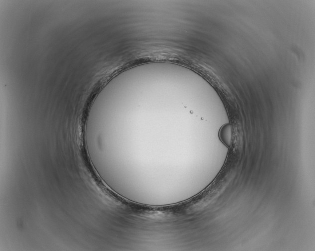 X0000112740453200908201038