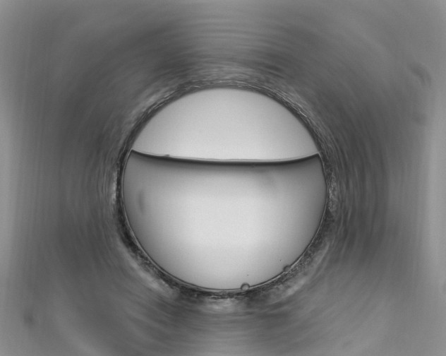 X0000112740454200908201038