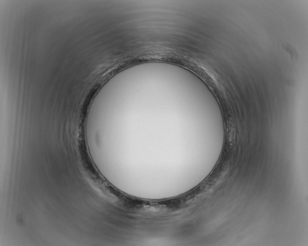 X0000112740455200908201039