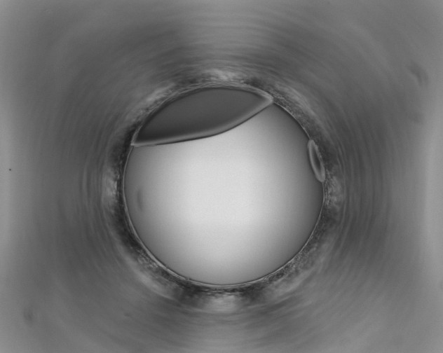 X0000112740456200908201039