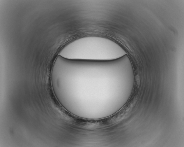 X0000112740458200908201039