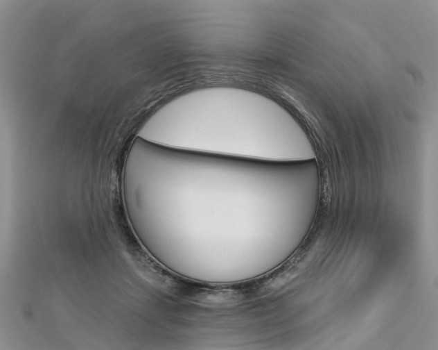 X0000112740459200908201039