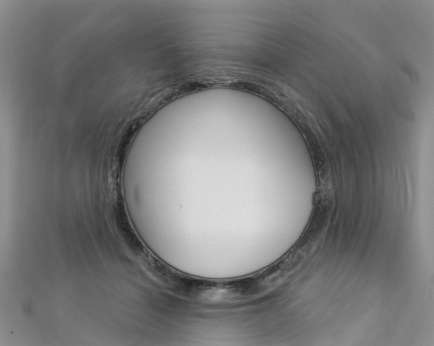 X0000112740460200908201039