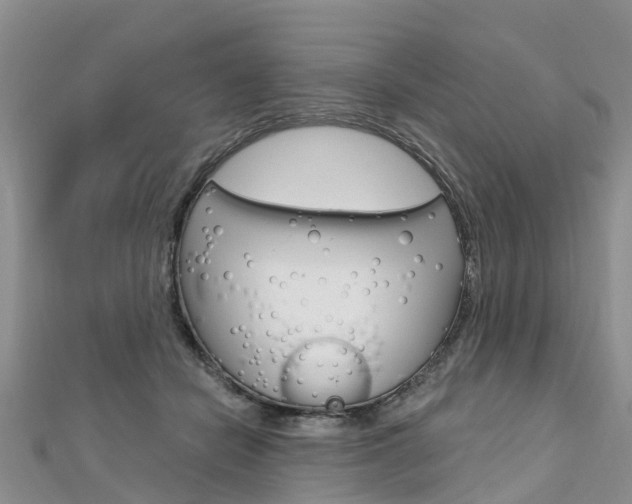 X0000112740462200908201039
