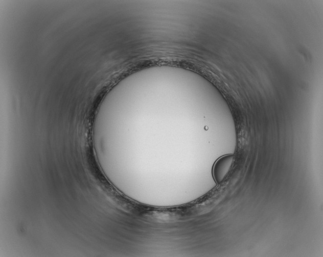 X0000112740464200908201039