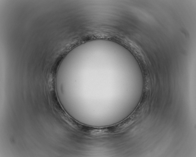 X0000112740465200908201039