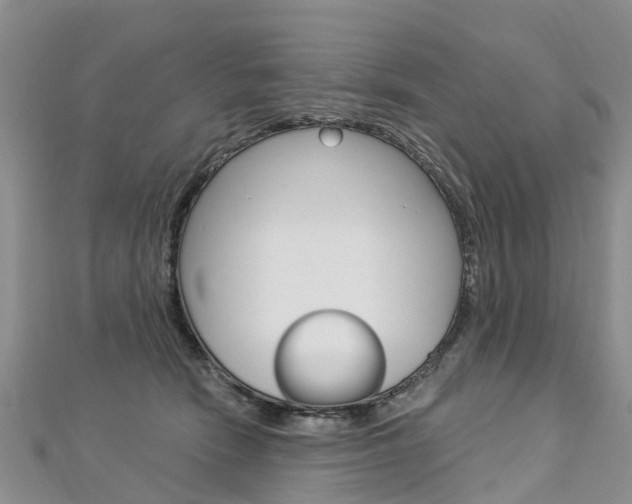 X0000112740466200908201039