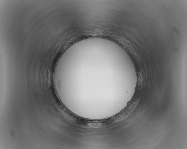 X0000112740470200908201039