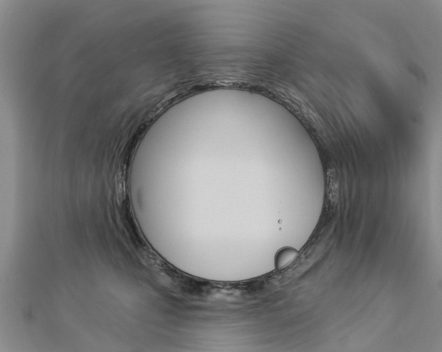 X0000112740471200908201039
