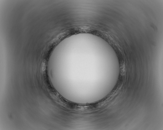 X0000112740472200908201039