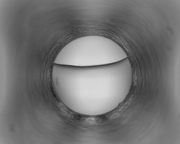 X0000112740473200908201039