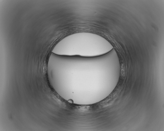 X0000112740474200908201039