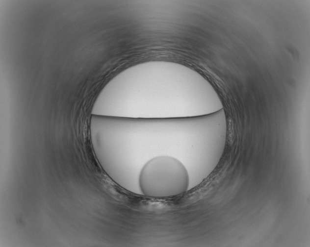 X0000112740475200908201039