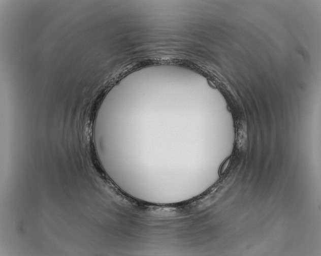 X0000112740476200908201039