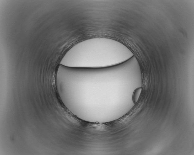 X0000112740478200908201039