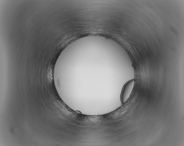 X0000112740479200908201039