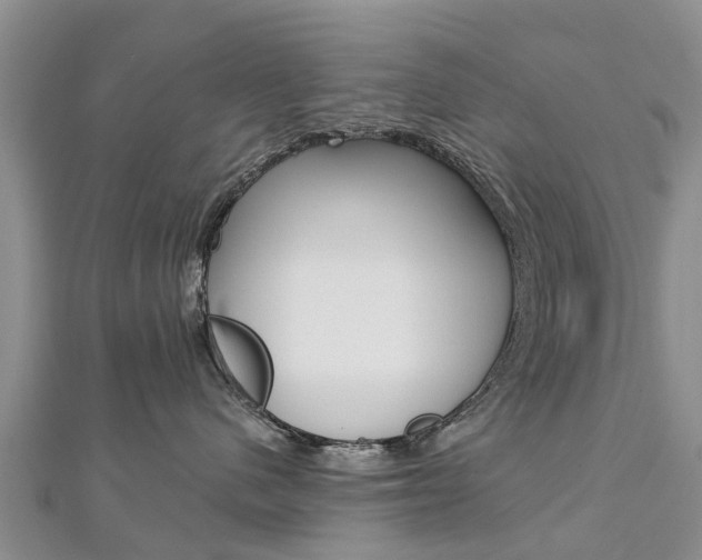 X0000112740480200908201039