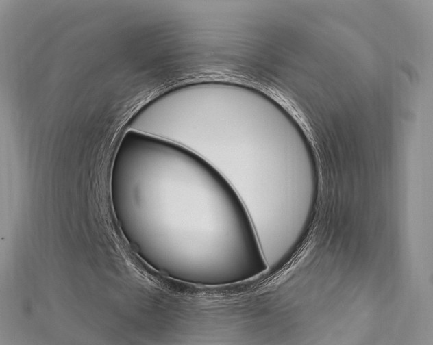 X0000112740481200908201038
