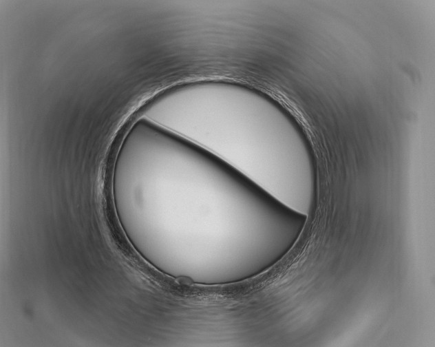 X0000112740483200908201038
