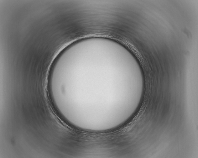 X0000112740484200908201038