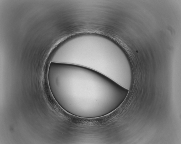 X0000112740488200908201038
