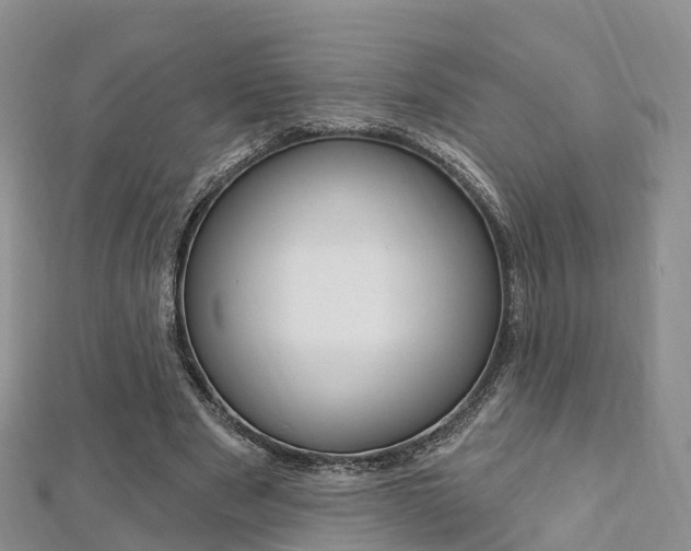 X0000112740489200908201038
