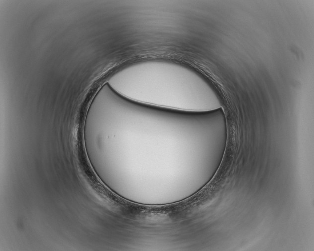 X0000112740491200908201038