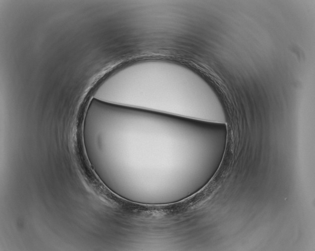 X0000112740492200908201038