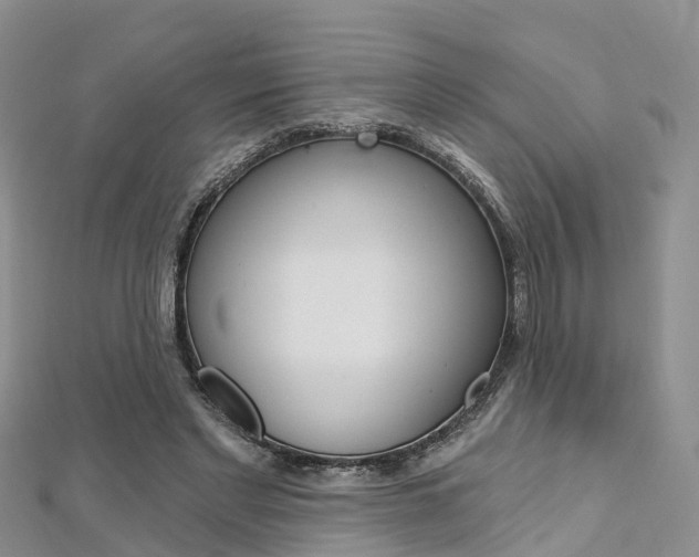 X0000112740493200908201038