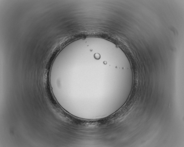 X0000112740495200908201038
