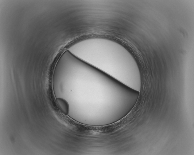 X0000112740496200908201038